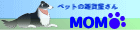 �y�b�g�̎G�݉�����@MOMO